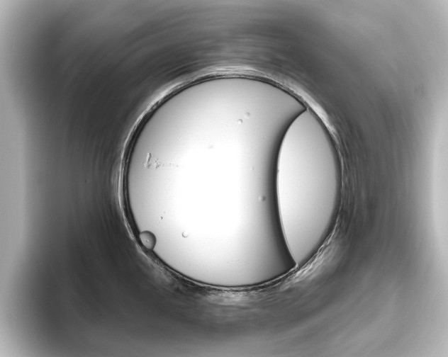 X0000096431245200801241017