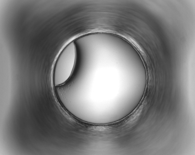 X0000096431246200801241017