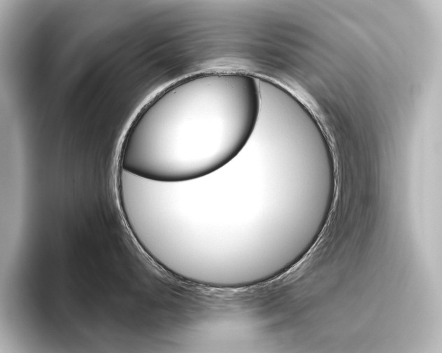 X0000096431248200801241017