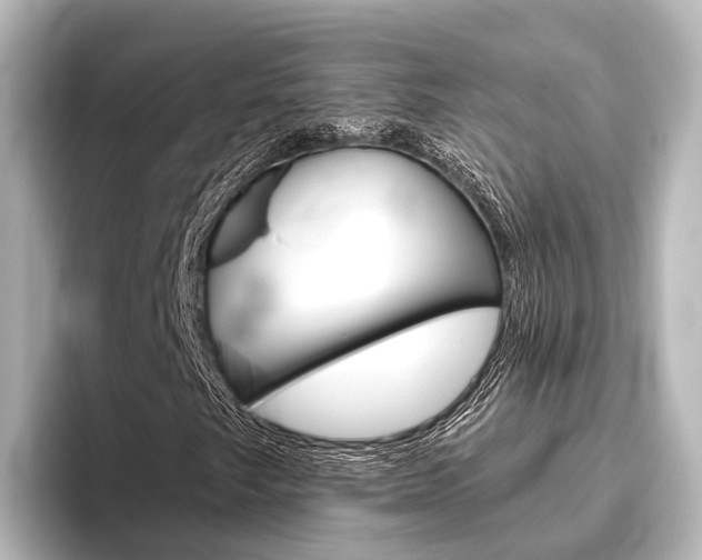 X0000096431249200801241017