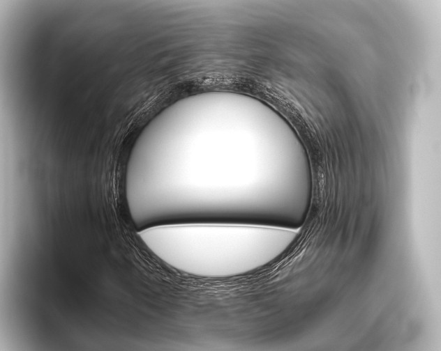 X0000096431250200801241017