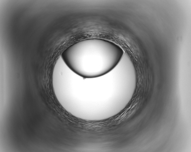 X0000096431253200801241016