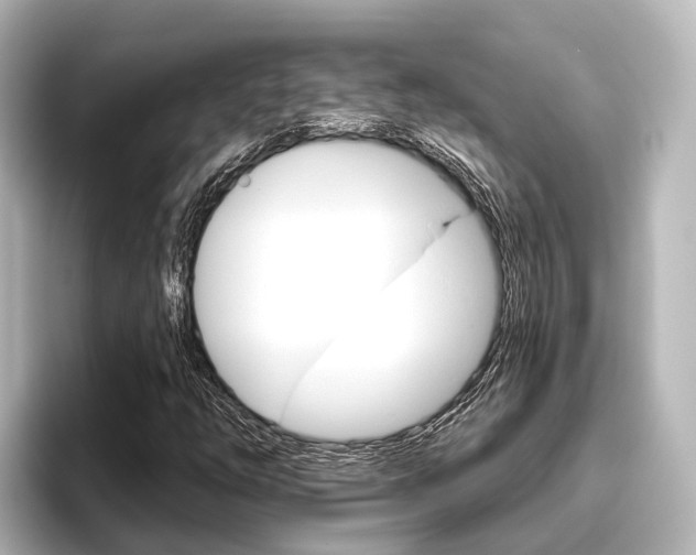 X0000096431254200801241016