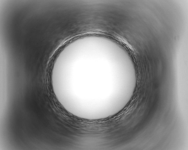 X0000096431256200801241016