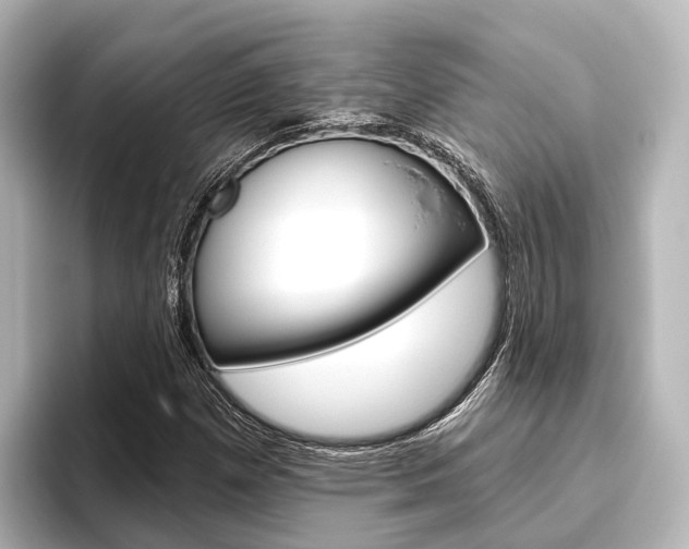 X0000096431257200801241016