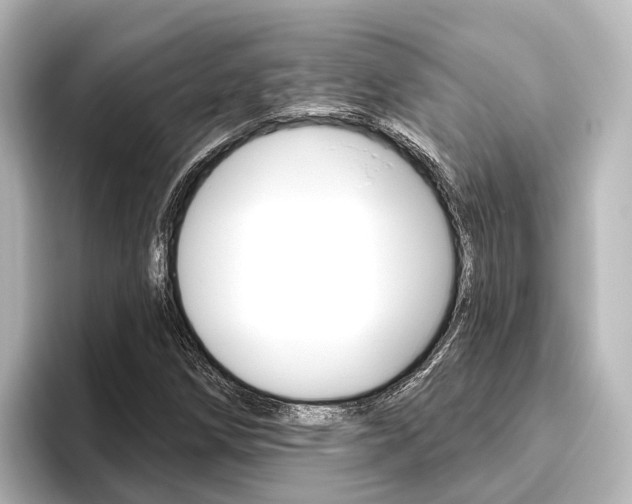 X0000096431258200801241016