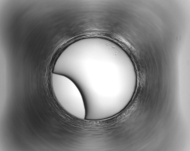 X0000096431259200801241016