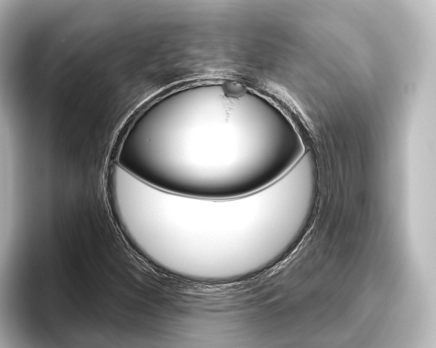 X0000096431260200801241016