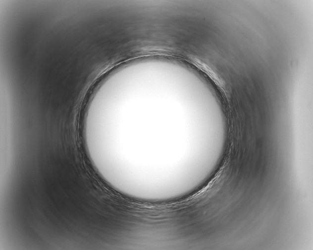 X0000096431261200801241016