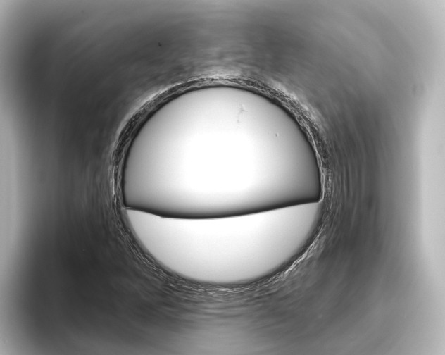 X0000096431262200801241016