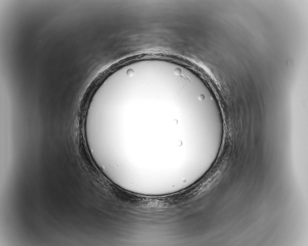 X0000096431263200801241016