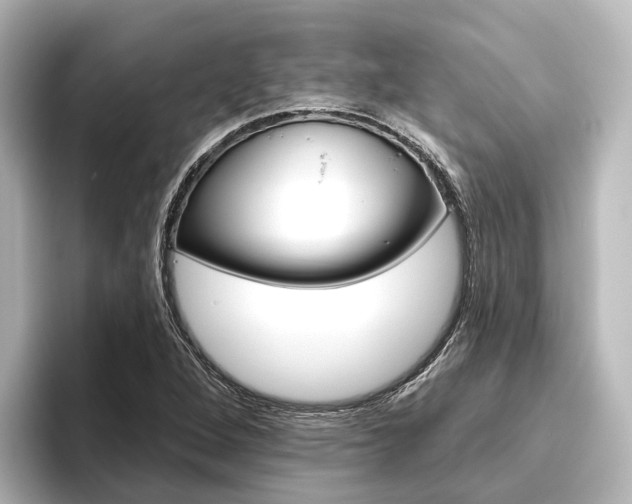 X0000096431264200801241016