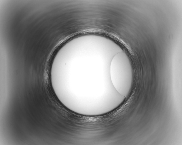 X0000096431266200801241016
