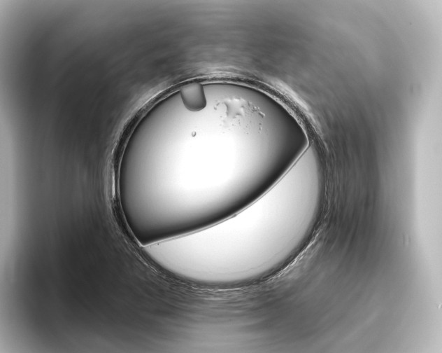 X0000096431269200801241016