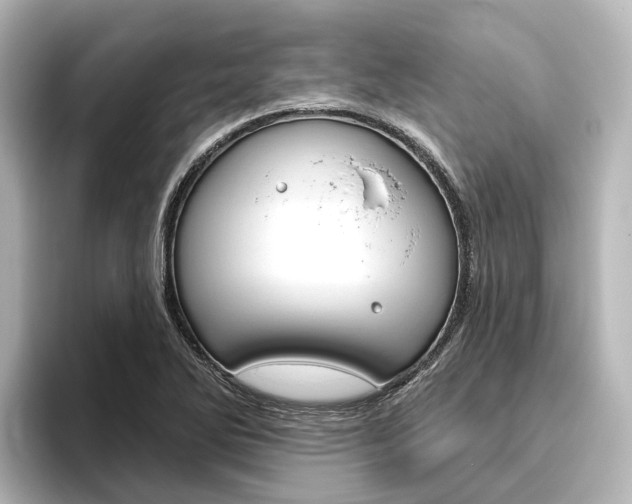 X0000096431270200801241016
