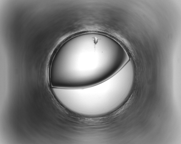 X0000096431272200801241016