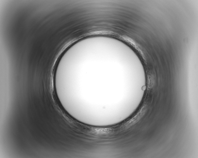 X0000096431274200801241016