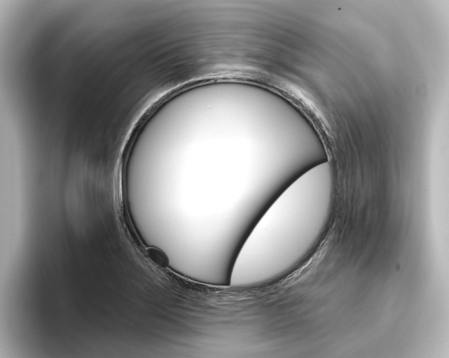 X0000096431275200801241016