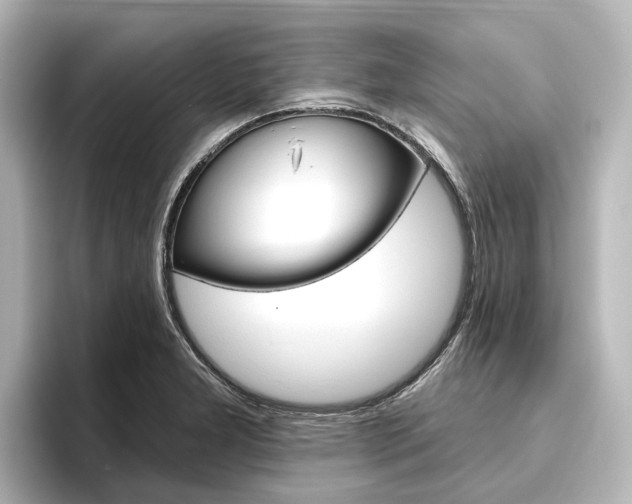 X0000096431277200801241016