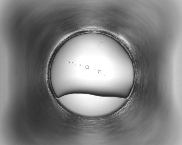 X0000096431279200801241016