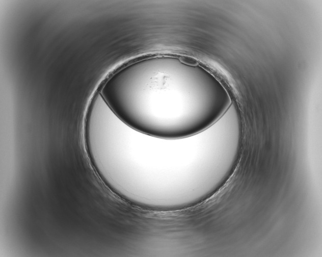 X0000096431280200801241016