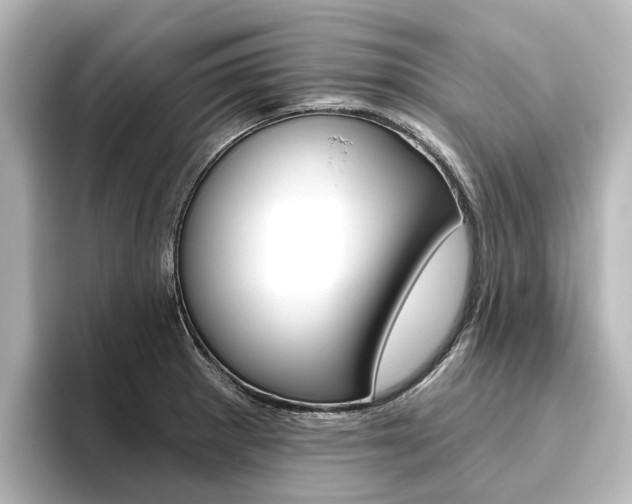X0000096431281200801241016