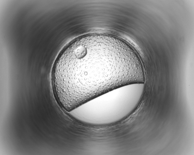 X0000096431283200801241016