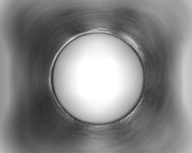 X0000096431284200801241016