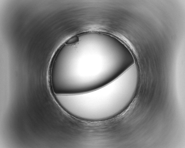 X0000096431285200801241016