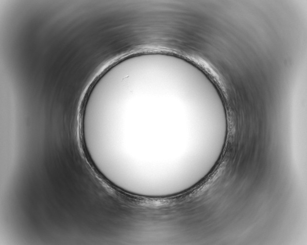 X0000096431286200801241016