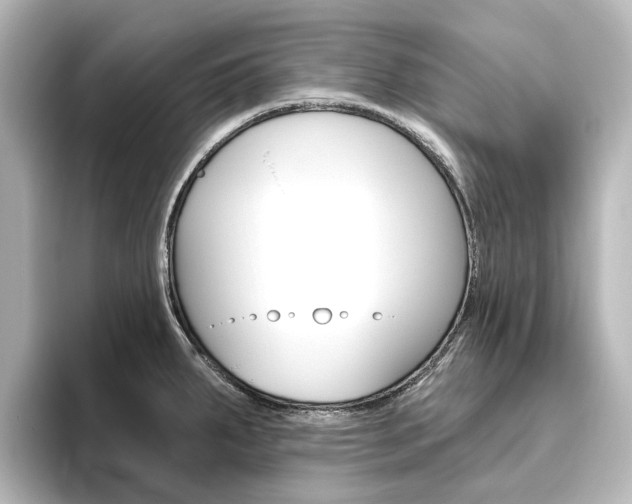 X0000096431287200801241016