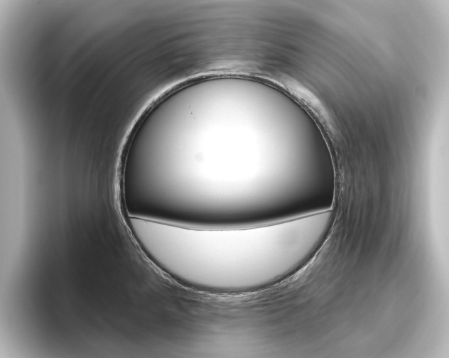 X0000096431288200801241016