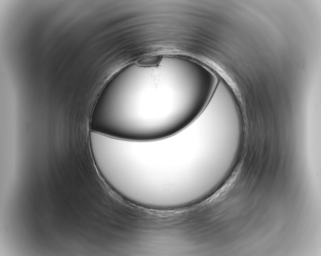X0000096431289200801241016