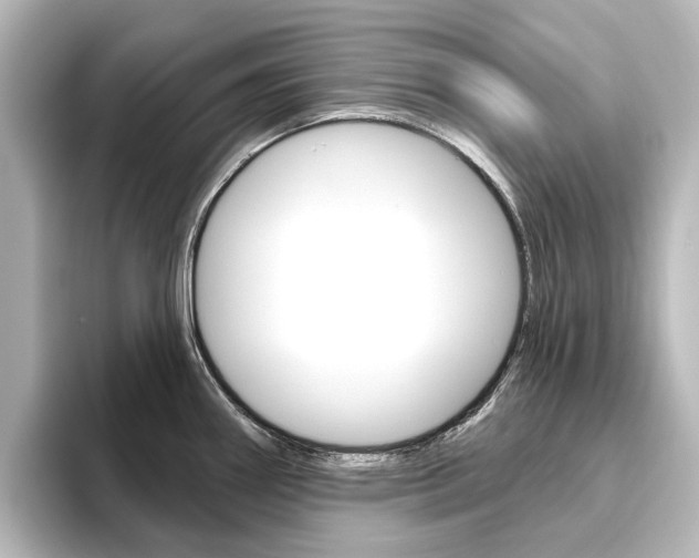 X0000096431290200801241016