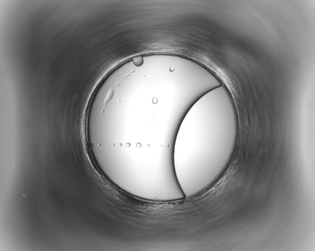 X0000096431291200801241016