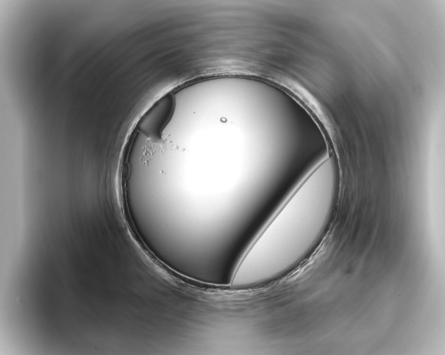 X0000096431293200801241016