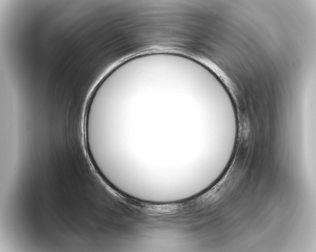 X0000096431294200801241016