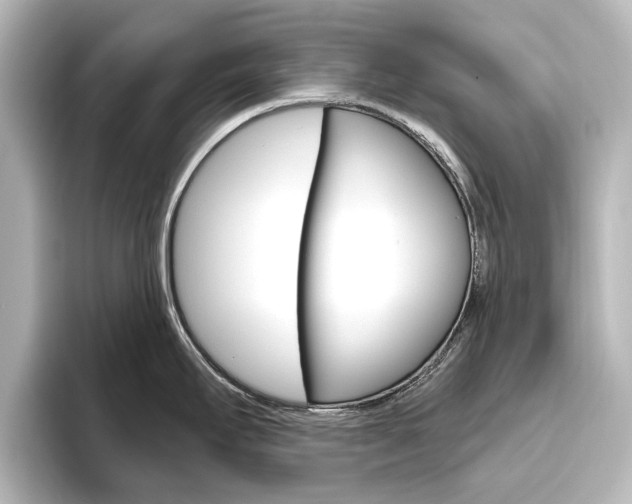 X0000096431295200801241016