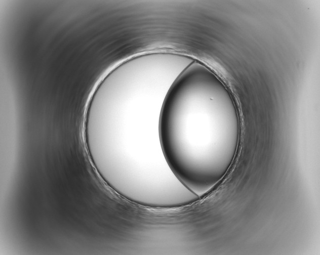 X0000096431296200801241016