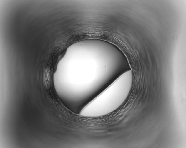 X0000096431298200801241015