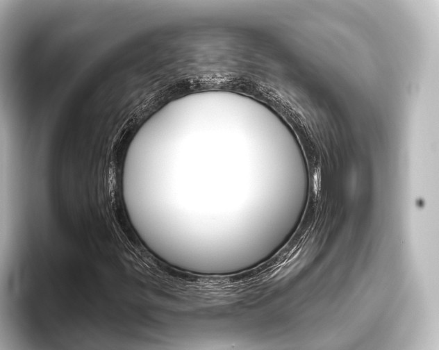 X0000096431299200801241015
