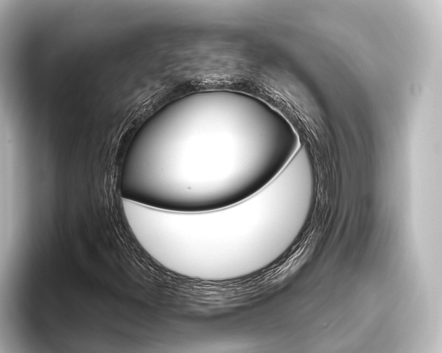 X0000096431300200801241015