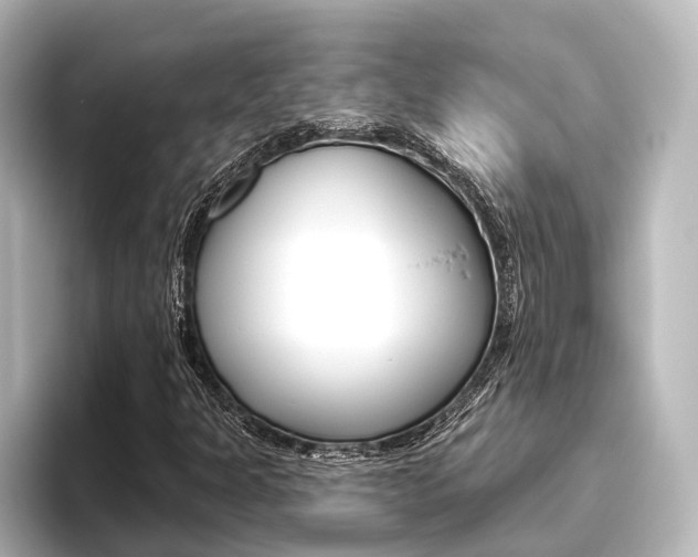X0000096431301200801241015