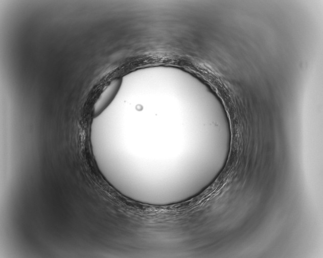 X0000096431302200801241015