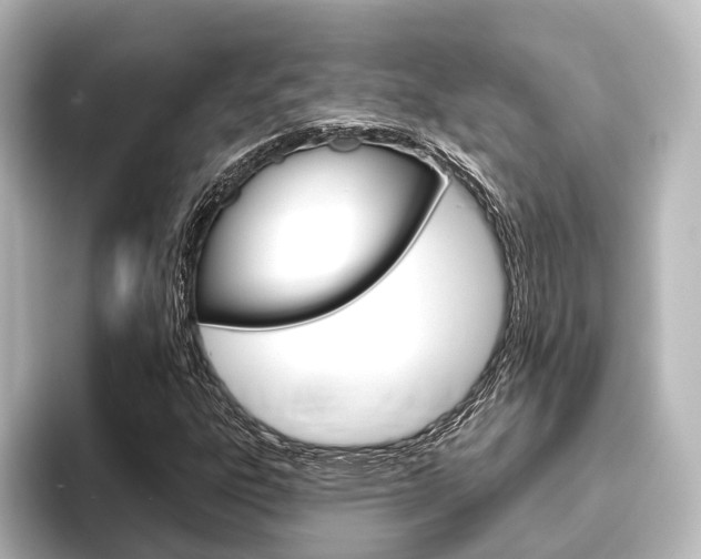 X0000096431303200801241015