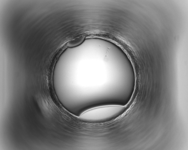 X0000096431305200801241015