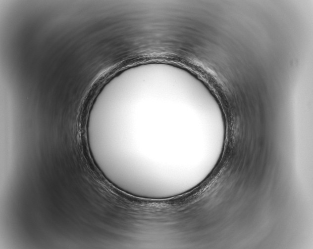 X0000096431306200801241015