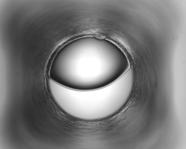 X0000096431308200801241015