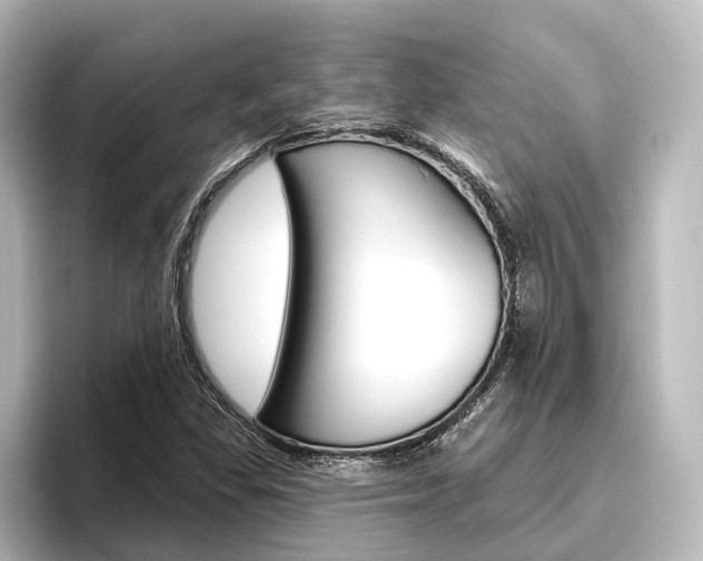 X0000096431309200801241015