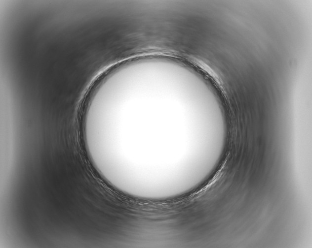 X0000096431310200801241015